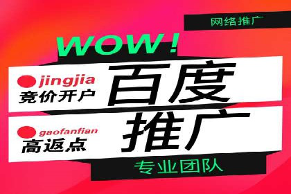 SEM推广公司案例：助力企业实现品牌价值提升